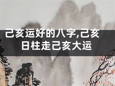 己亥运好的八字,己亥日柱走己亥大运