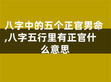 八字中的五个正官男命,八字五行里有正官什么意思