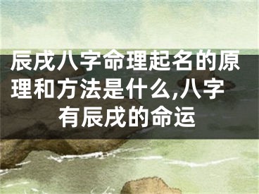 辰戌八字命理起名的原理和方法是什么,八字有辰戌的命运