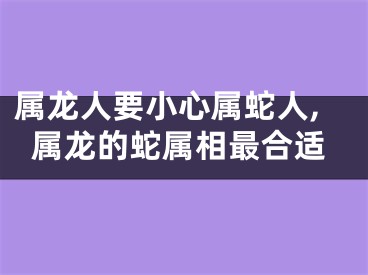 属龙人要小心属蛇人,属龙的蛇属相最合适