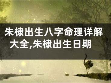 朱棣出生八字命理详解大全,朱棣出生日期