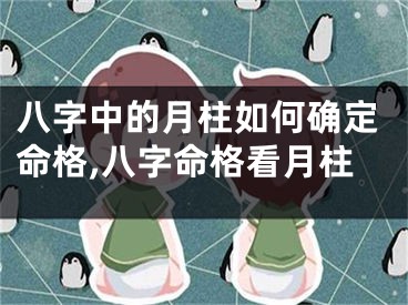 八字中的月柱如何确定命格,八字命格看月柱