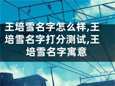王培雪名字怎么样,王培雪名字打分测试,王培雪名字寓意