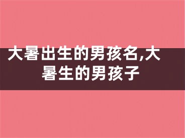 大暑出生的男孩名,大暑生的男孩子