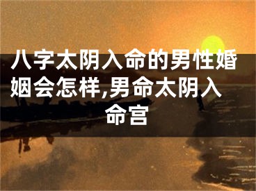 八字太阴入命的男性婚姻会怎样,男命太阴入命宫