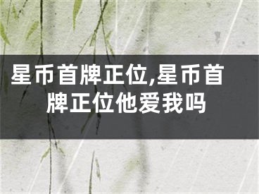 星币首牌正位,星币首牌正位他爱我吗