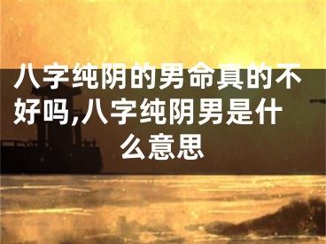 八字纯阴的男命真的不好吗,八字纯阴男是什么意思