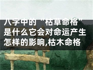 八字中的“枯草命格”是什么它会对命运产生怎样的影响,枯木命格