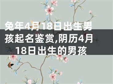 兔年4月18日出生男孩起名鉴赏,阴历4月18日出生的男孩