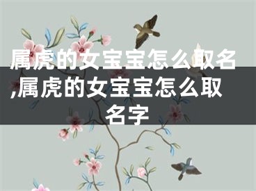 属虎的女宝宝怎么取名,属虎的女宝宝怎么取名字