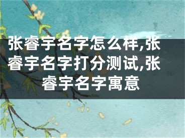 张睿宇名字怎么样,张睿宇名字打分测试,张睿宇名字寓意