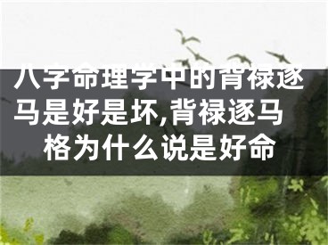 八字命理学中的背禄逐马是好是坏,背禄逐马格为什么说是好命