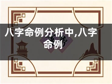 八字命例分析中,八字 命例