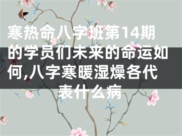 寒热命八字班第14期的学员们未来的命运如何,八字寒暖湿燥各代表什么病