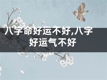 八字命好运不好,八字好运气不好