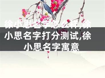 徐小思名字怎么样,徐小思名字打分测试,徐小思名字寓意