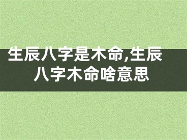 生辰八字是木命,生辰八字木命啥意思