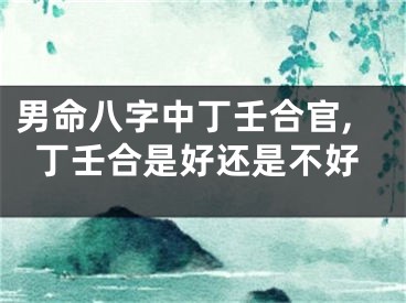 男命八字中丁壬合官,丁壬合是好还是不好