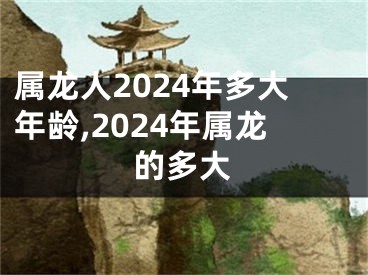 属龙人2024年多大年龄,2024年属龙的多大