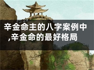 辛金命主的八字案例中,辛金命的最好格局