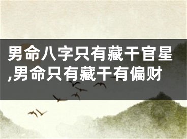 男命八字只有藏干官星,男命只有藏干有偏财