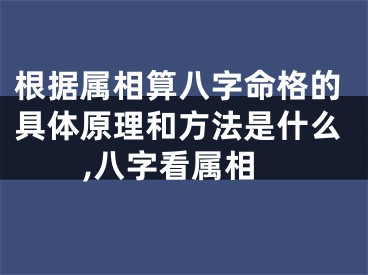根据属相算八字命格的具体原理和方法是什么,八字看属相
