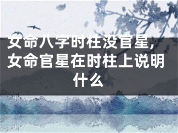 女命八字时柱没官星,女命官星在时柱上说明什么