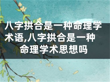 八字拱合是一种命理学术语,八字拱合是一种命理学术思想吗