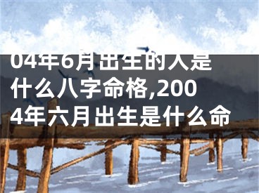 04年6月出生的人是什么八字命格,2004年六月出生是什么命