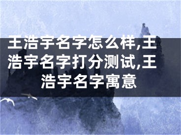 王浩宇名字怎么样,王浩宇名字打分测试,王浩宇名字寓意