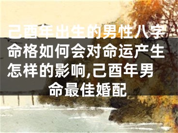 己酉年出生的男性八字命格如何会对命运产生怎样的影响,己酉年男命最佳婚配