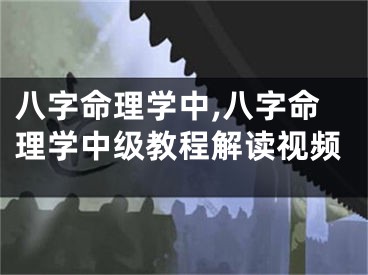 八字命理学中,八字命理学中级教程解读视频