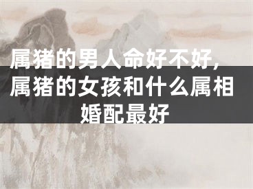 属猪的男人命好不好,属猪的女孩和什么属相婚配最好