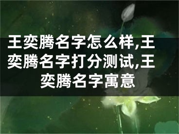 王奕腾名字怎么样,王奕腾名字打分测试,王奕腾名字寓意