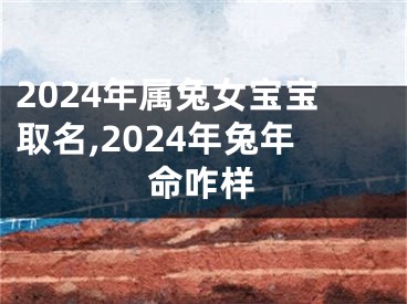 2024年属兔女宝宝取名,2024年兔年命咋样