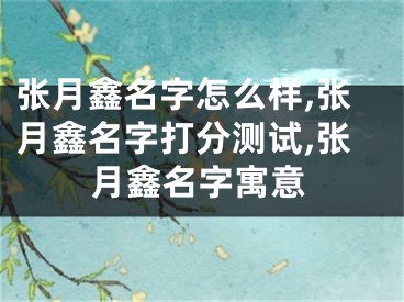 张月鑫名字怎么样,张月鑫名字打分测试,张月鑫名字寓意
