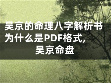 吴京的命理八字解析书为什么是PDF格式,吴京命盘