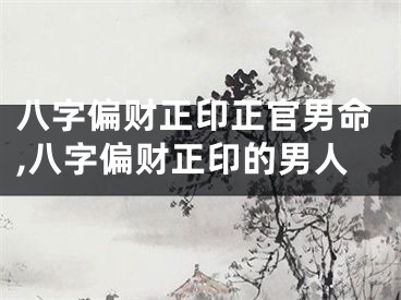 八字偏财正印正官男命,八字偏财正印的男人