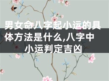 男女命八字起小运的具体方法是什么,八字中小运判定吉凶