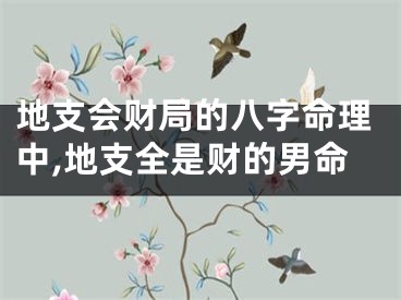 地支会财局的八字命理中,地支全是财的男命