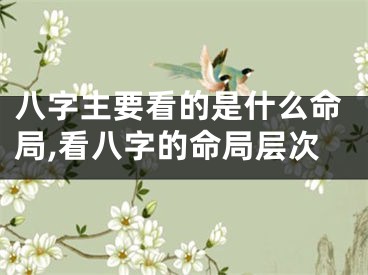 八字主要看的是什么命局,看八字的命局层次