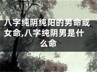 八字纯阴纯阳的男命或女命,八字纯阴男是什么命
