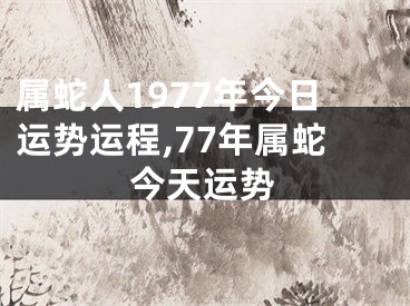 属蛇人1977年今日运势运程,77年属蛇今天运势