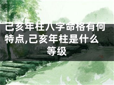 己亥年柱八字命格有何特点,己亥年柱是什么等级