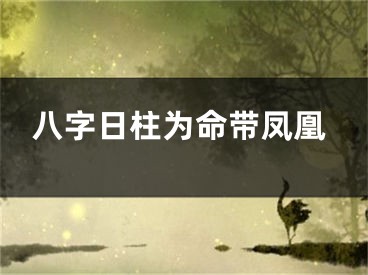 八字日柱为命带凤凰