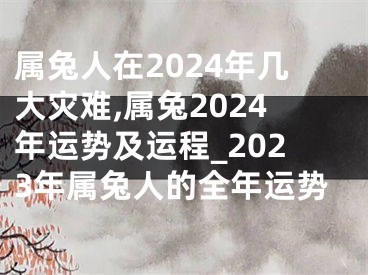 属兔人在2024年几大灾难,属兔2024年运势及运程_2023年属兔人的全年运势
