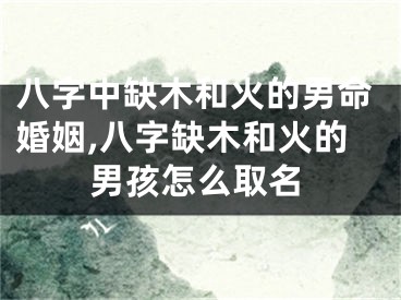 八字中缺木和火的男命婚姻,八字缺木和火的男孩怎么取名