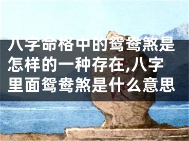 八字命格中的鸳鸯煞是怎样的一种存在,八字里面鸳鸯煞是什么意思