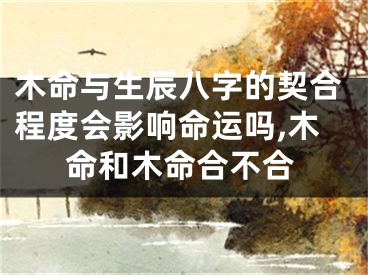 木命与生辰八字的契合程度会影响命运吗,木命和木命合不合