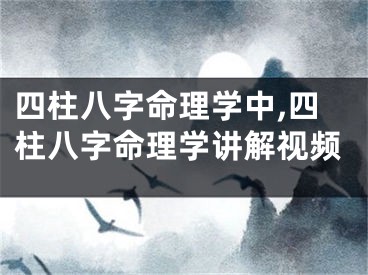 四柱八字命理学中,四柱八字命理学讲解视频